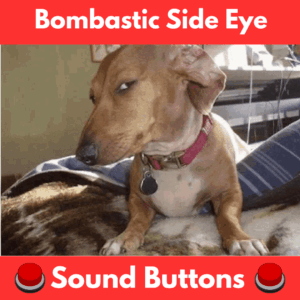 Bombastic-Side-Eye-Sound-Buttons