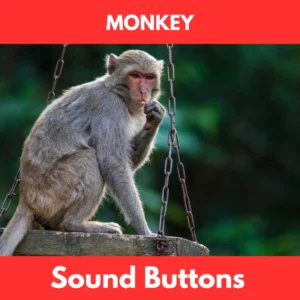 Monkey soundboard