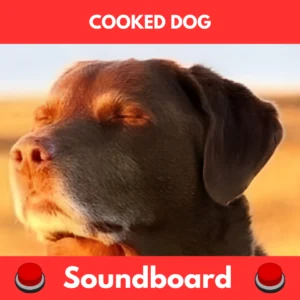 cooked dog soundboard