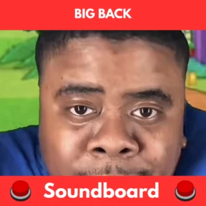 Big back soundboard