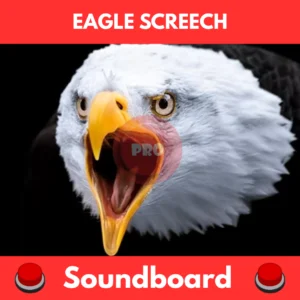 Eagle screech soundboard