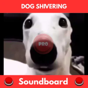 dog shivering soundboard