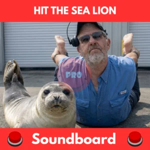 Hit the Sea Lion soundboard