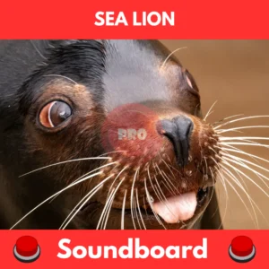 Sea Lion Barking soundboard