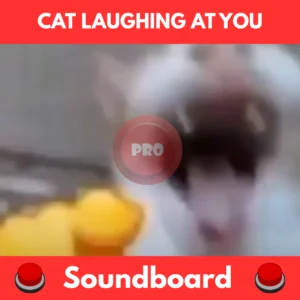 cat laughing at you soundboard
