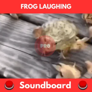 frog laughing soundboard