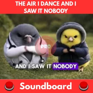 The-Air-I-Dance-And-I-Saw-It-Nobody-Soundboard